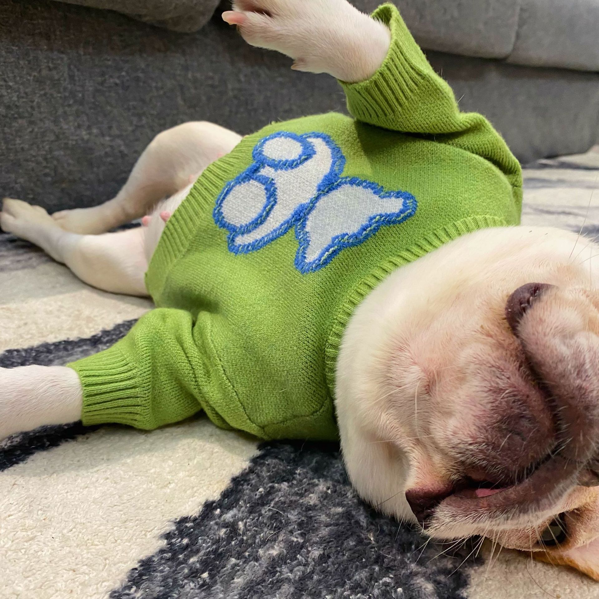 Fall Winter Fashion Pet Sweater Clothes