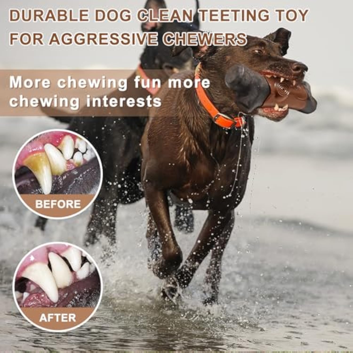 Tough Durable Chew Toy For Aggressive Chewers Large Breed Pets Bacon Flavor