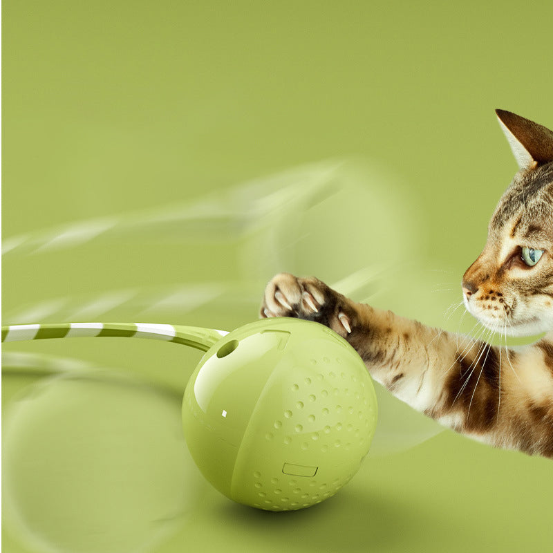 Interactive Electric Motion Activated Pet Ball Toy Touch Sensor Play Accessory