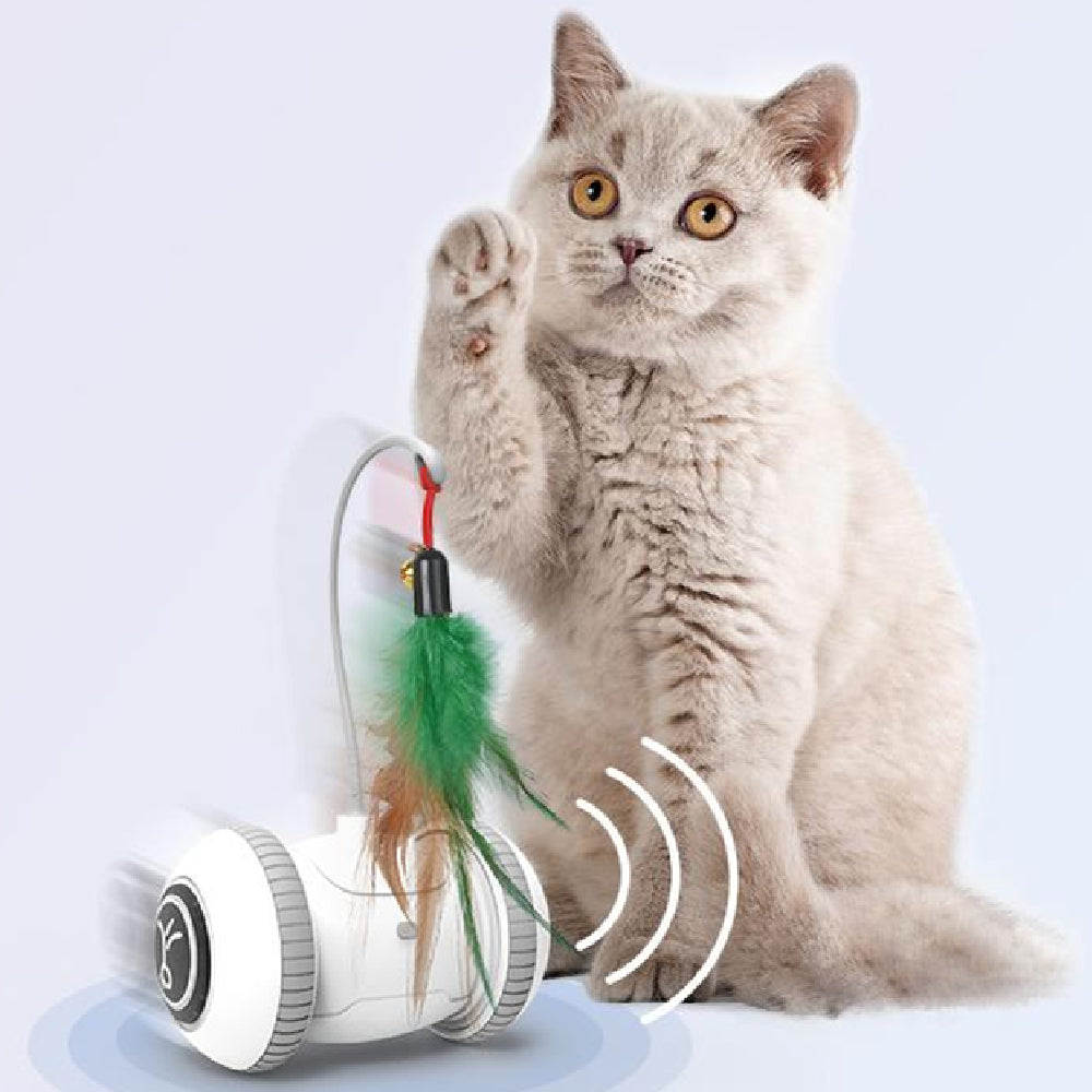 Interactive Pet Toy Interchangeable Feather Play Set